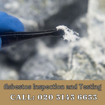 Comprehensive Asbestos Inspection and Testing Services in Winchmore Hill